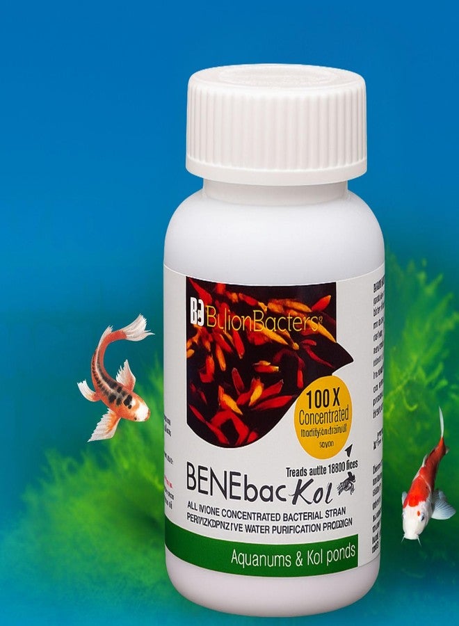 مليار بكتيريا بينيباك كوي - 140 مل | بروبيوتيك مُركّز 100 ضعف لتنقية المياه لأحواض أسماك الكوي وأحواض المياه العذبة | يقلل من الأمونيا والروائح الكريهة ومسببات الأمراض - Image 1